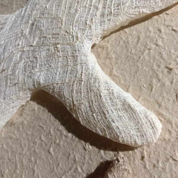 ⁦Tree Bark Fiber Starfish 3D Wall Art⁩ - الصورة ⁦3⁩