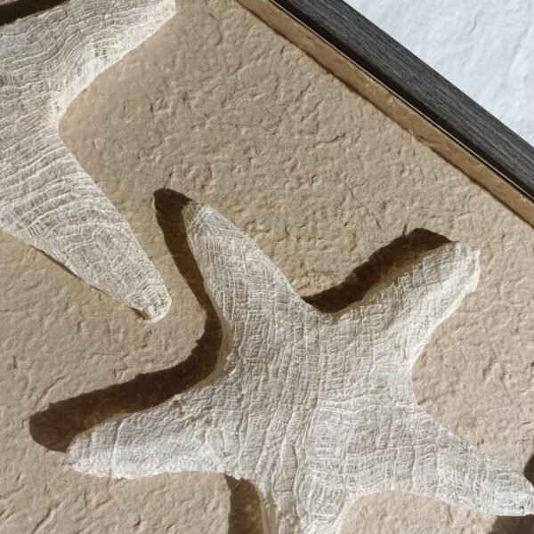 ⁦Tree Bark Fiber Starfish 3D Wall Art⁩ - الصورة ⁦2⁩