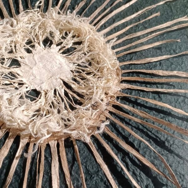 ⁦Tree Bark Sun Shaped Wall Art⁩ - الصورة ⁦3⁩