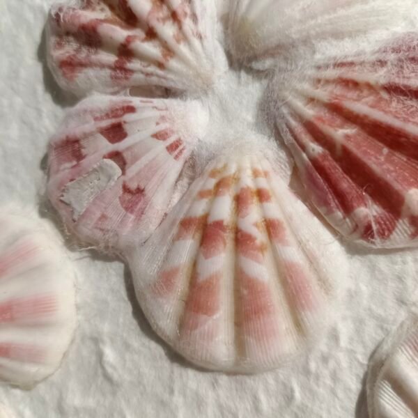 Shell Flower Decoration 3D Wall Art - Image 3