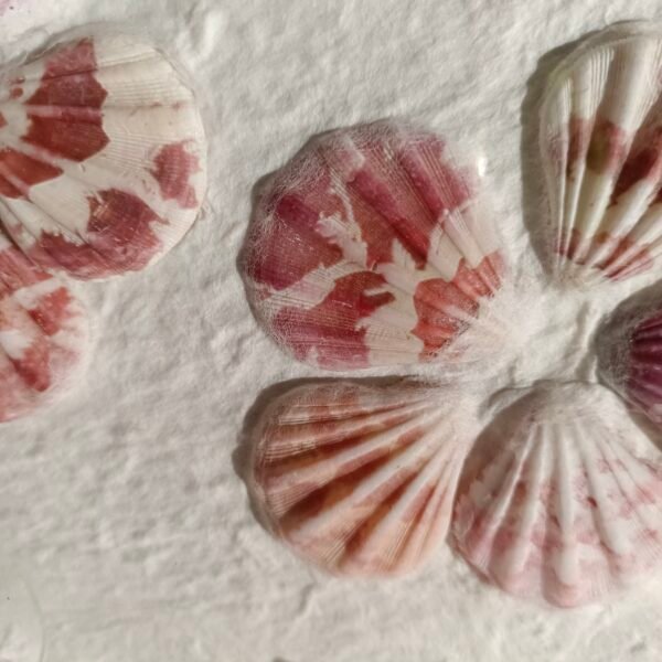 Shell Flower Decoration 3D Wall Art - Image 2