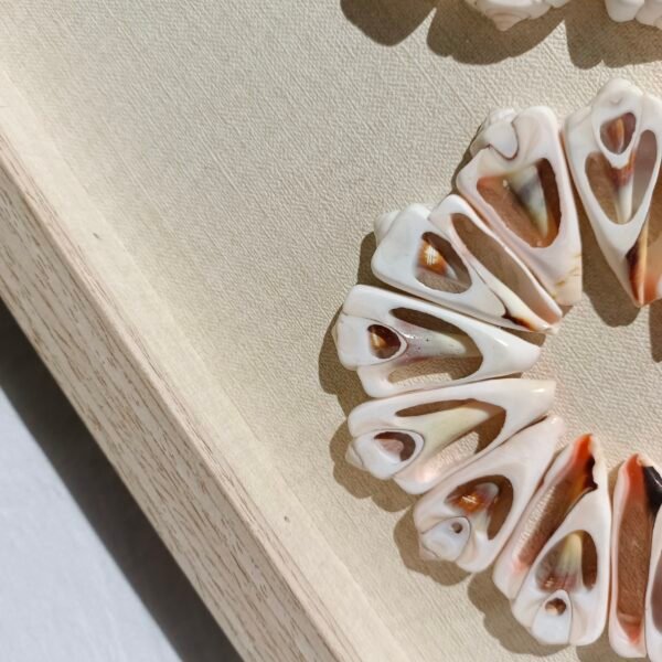 ⁦Shell Mosaic Wall Art⁩ - الصورة ⁦2⁩