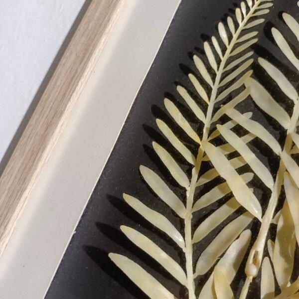 ⁦Plastic Fern Leaf Wall Art⁩ - الصورة ⁦2⁩