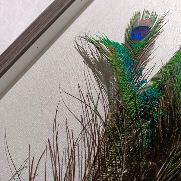 ⁦Peacock Feather Wall Art⁩ - الصورة ⁦2⁩