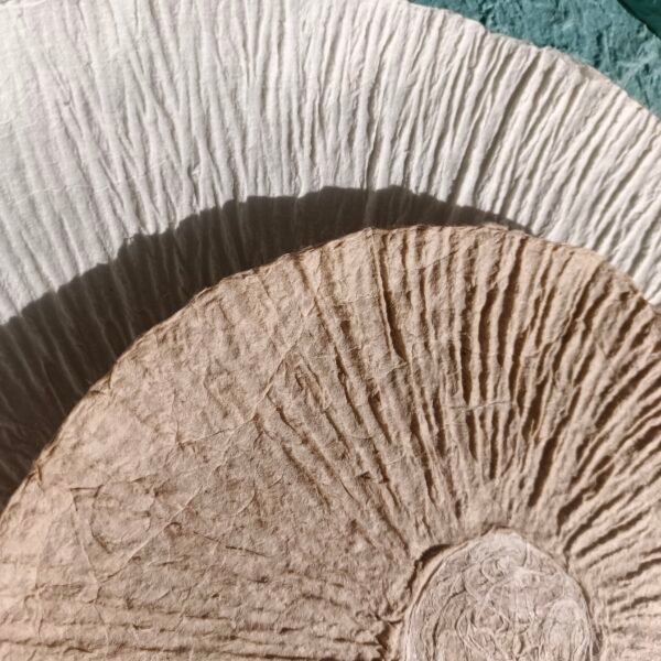 Paper Dual Color Texture Circular Wall Art - Imagen 2