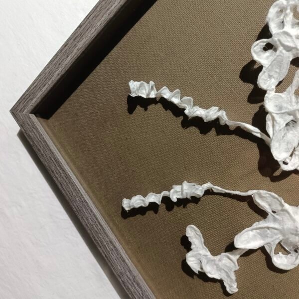 ⁦Paper White Floral Wall Art⁩ - الصورة ⁦3⁩
